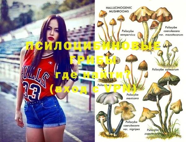 метамфетамин Козловка